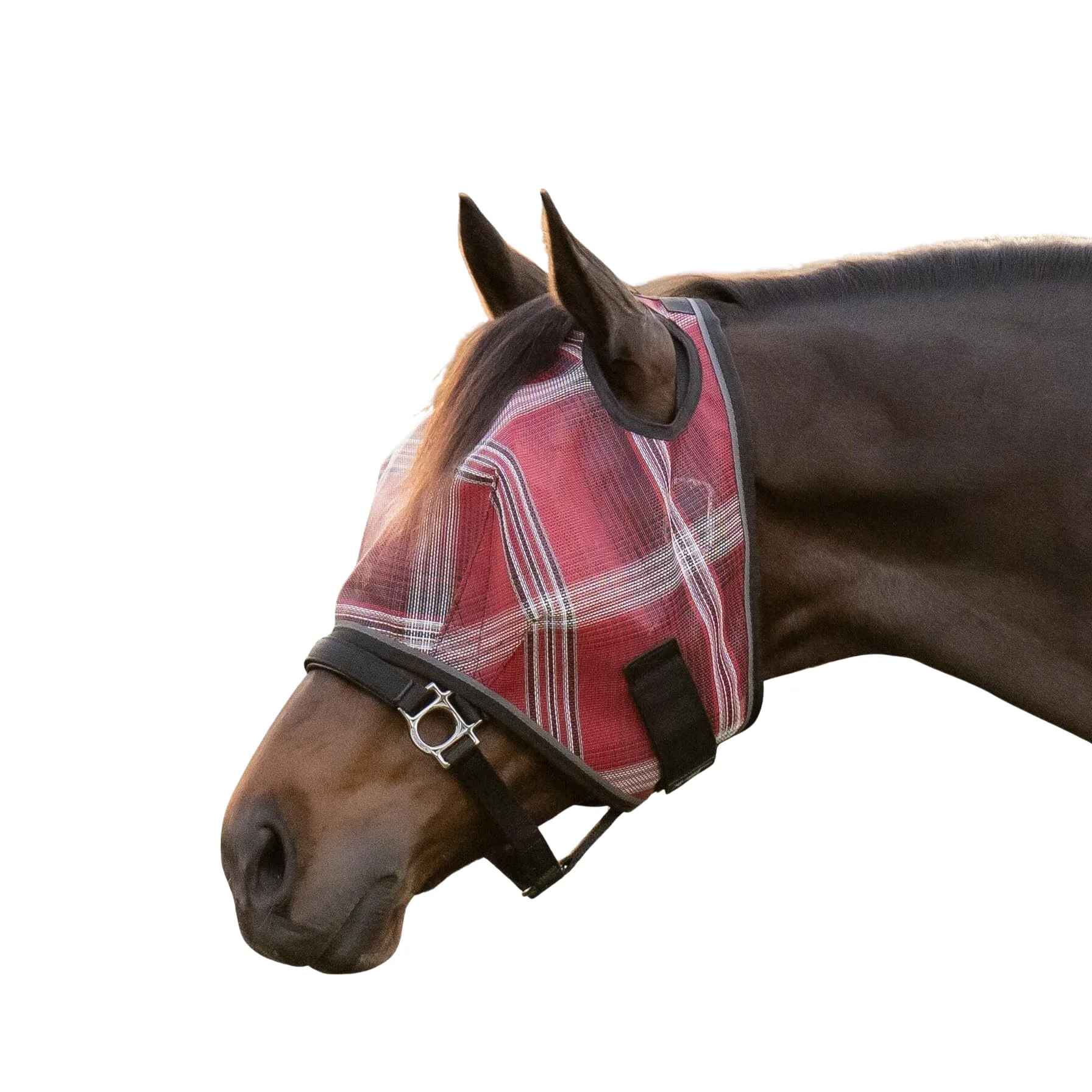 Exclusive Kensington Fly Mask with Web Trim – Dual Ear Openings Forelock dom Merlot L-Avg Soft