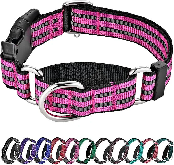 Advanced Hikiko Martingale Dog Collars Reflective Nylon Puppy Dog Collar Smooth