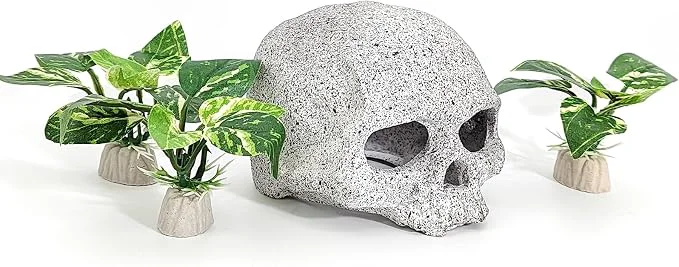 Superior Fish Aquarium Decorations Cave Hide Reliable