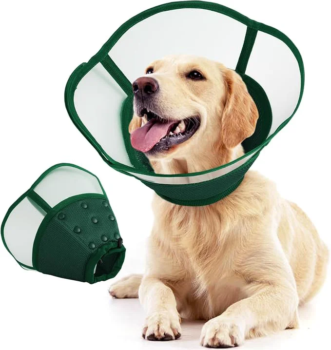 Proven Allroaring Dog Cone Soft Dog Cones Efficient