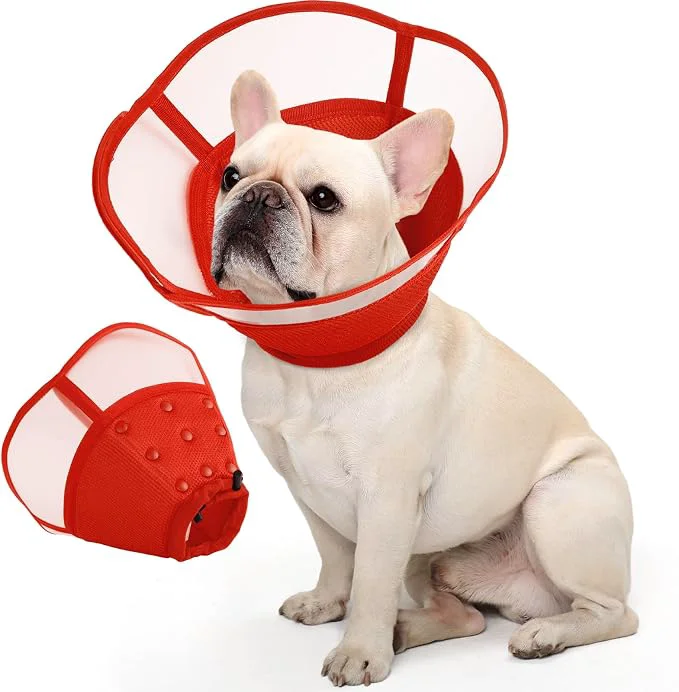 Traditional Allroaring Dog Cone Collar Soft Dog Cones Secure