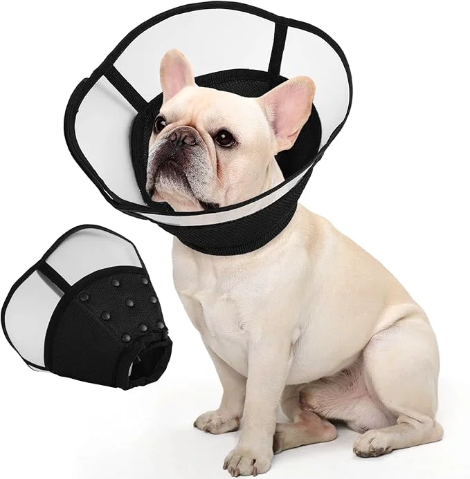 Unique Allroaring Dog Cone Soft Dog Cones Next-Generation