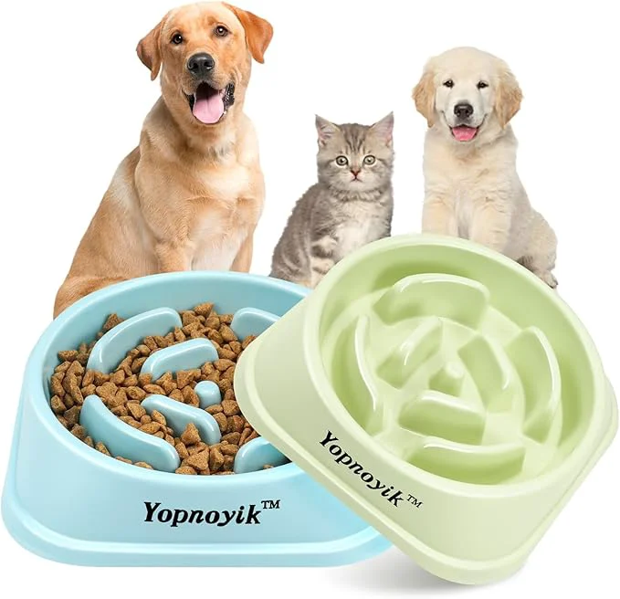 Advanced 2 Pack Slow Feeder Dog Bowls for Healthy Eating Non-Slip and Anti-Choking Design Reduces Bloating Overeating for Medium Dogs and Cats Easy to CleanAbout ThisOverview Elegant