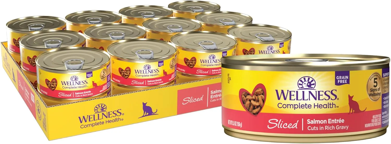 Convenient Wellness Complete Health Sliced Adult Wet Cat Food Natural Protein-Rich Grain 5.5 Ounce 24 Pack Salmon Entrée Casual