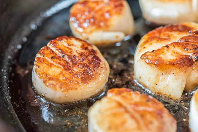 Proven East Coast Sea Scallops User-Friendly