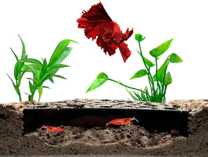 Durable Shrimp Breeding Protector Shrimp Breeding Cave Aquarium Tunnel CTWPets Solid