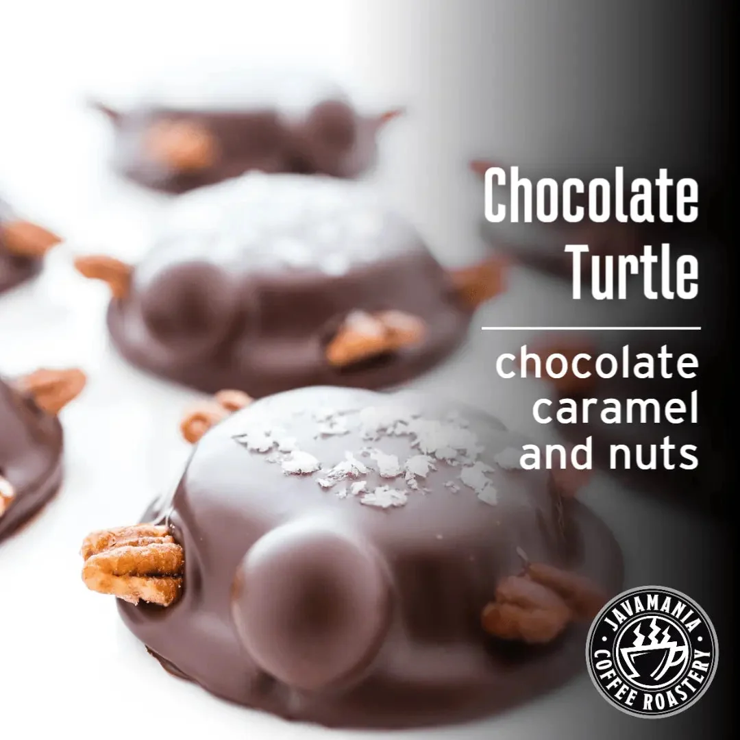 Comfortable Chocolate Turtle Elegant
