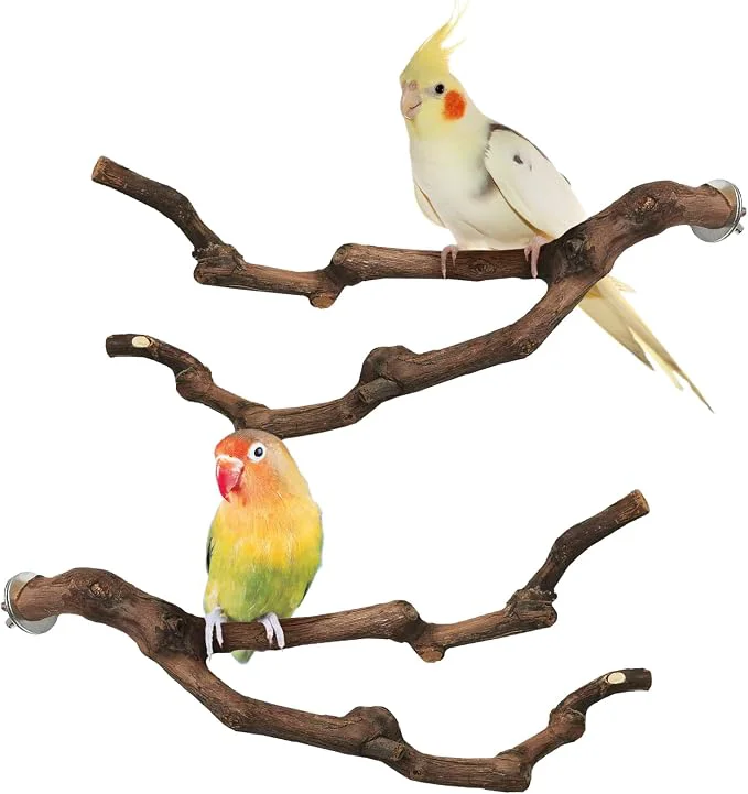 Trusted PINVNBY Natural Parrot Perch Grape Wood Bird Stand Pole Parakeet Paw Grinding Powerful