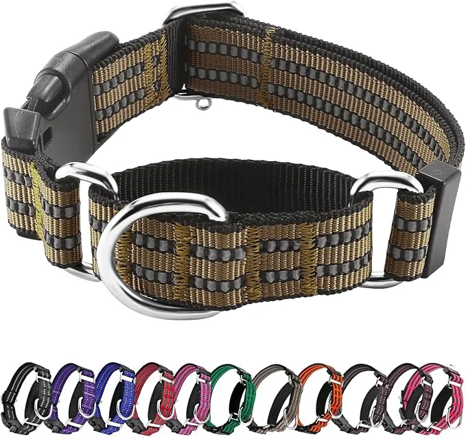 World-Class Hikiko Martingale Dog Collars Reflective Nylon Dog Collar Long-Lasting