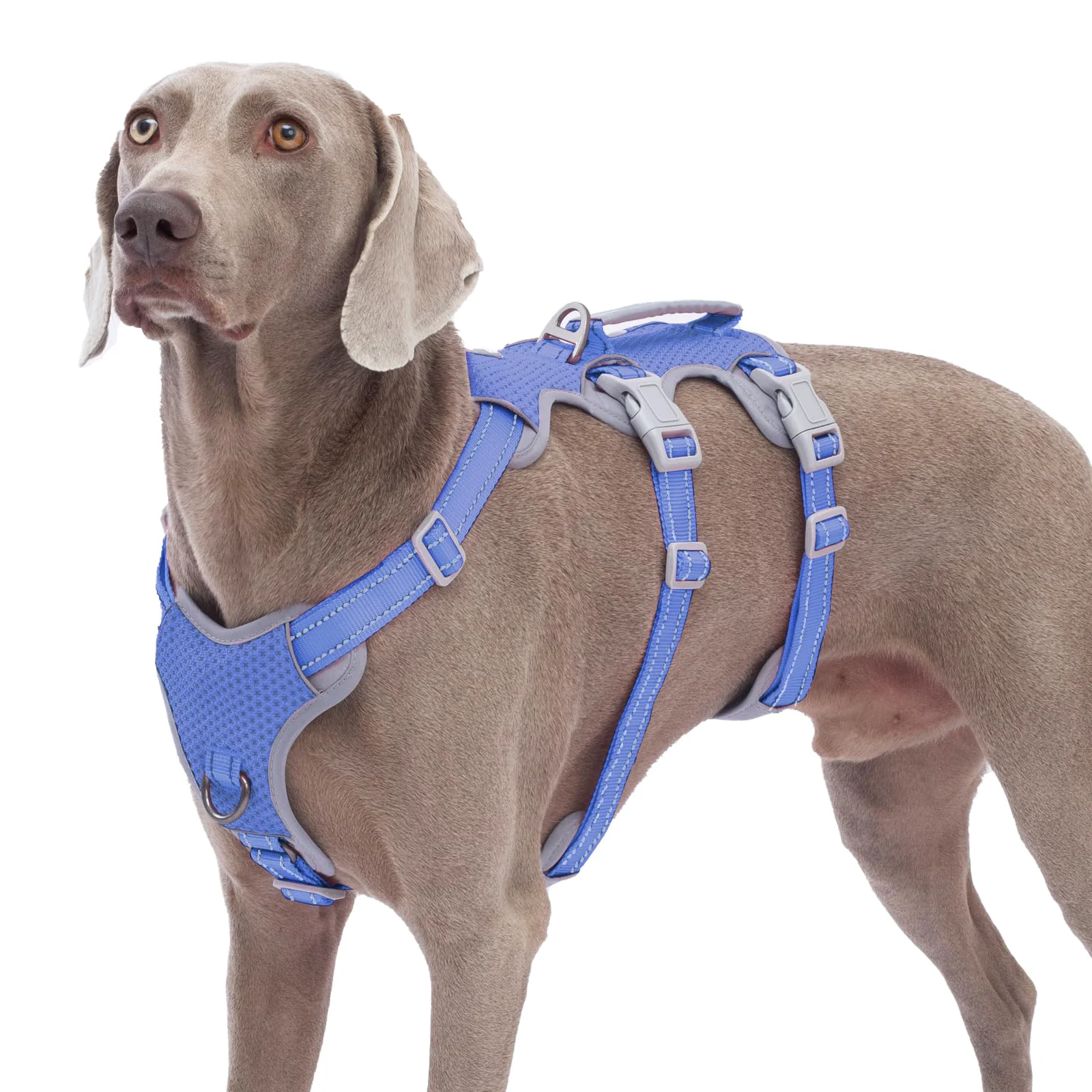 Functional Huntboo Escape Proof Dog Harness - No-Pull Reflective Vest with Lift Handle Vista Blue L Efficient