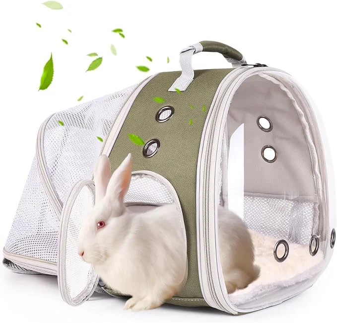 Long-Lasting Back Expandable Backpack for Small Animals Portable Travel Bag Breathable Pet Modern