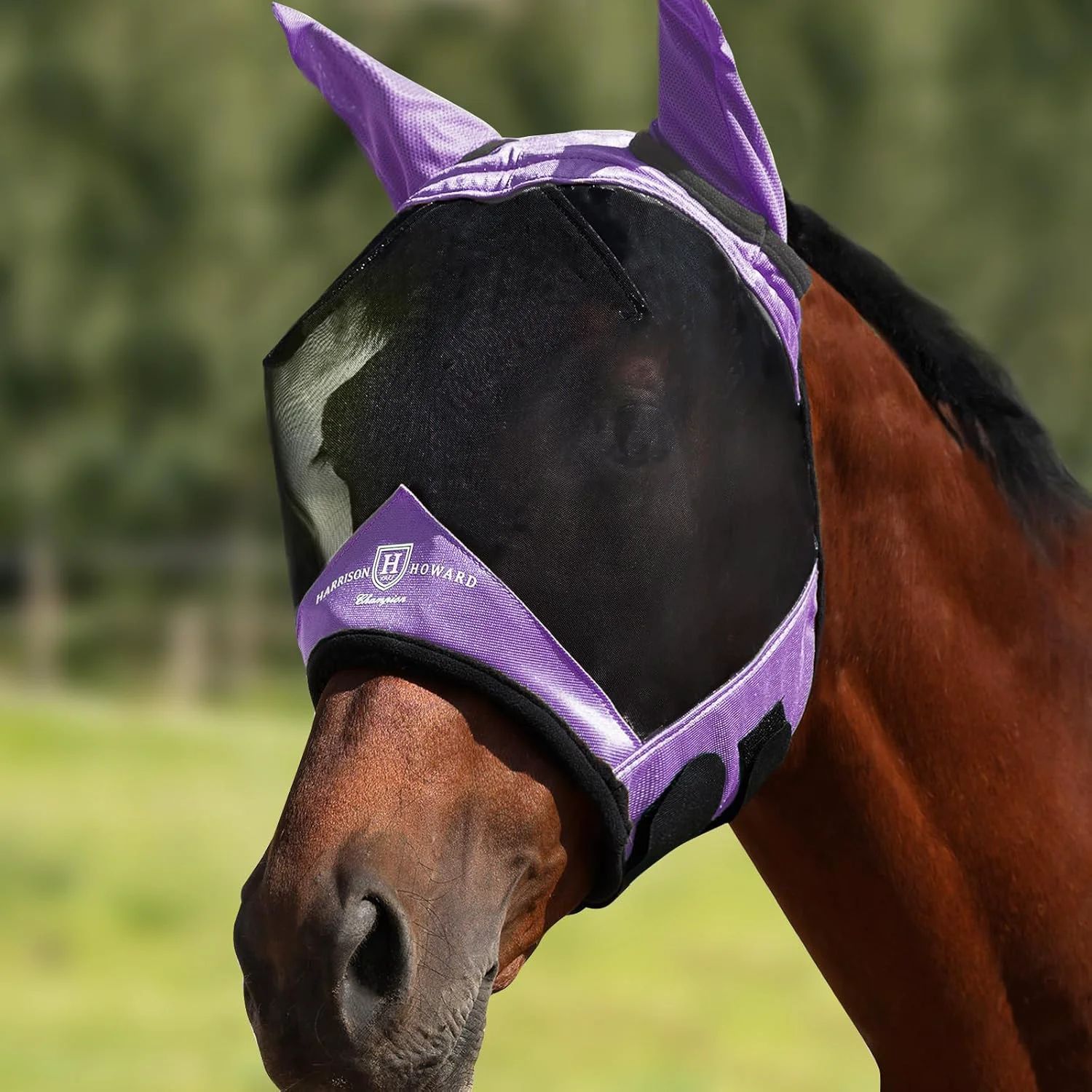 Reusable Harrison Howard Pro Luminous Horse Half Face Fly Mask Large Eye Space with Ears UV Protection for Horse Gentle Lavendar XL Traditional
