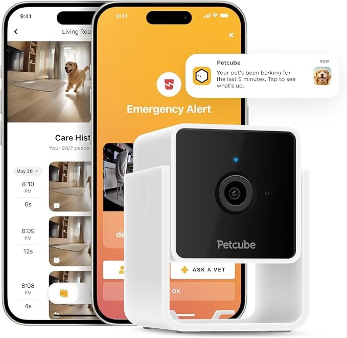 Modern Petcube Cam Indoor Wi-Fi Pet and Security Camera with Phone App Pet Monitor with 2-Way Audio and Video Night Vision 1080p HD Video and Smart Alerts for Home SecurityAbout ThisOverview Contemporary