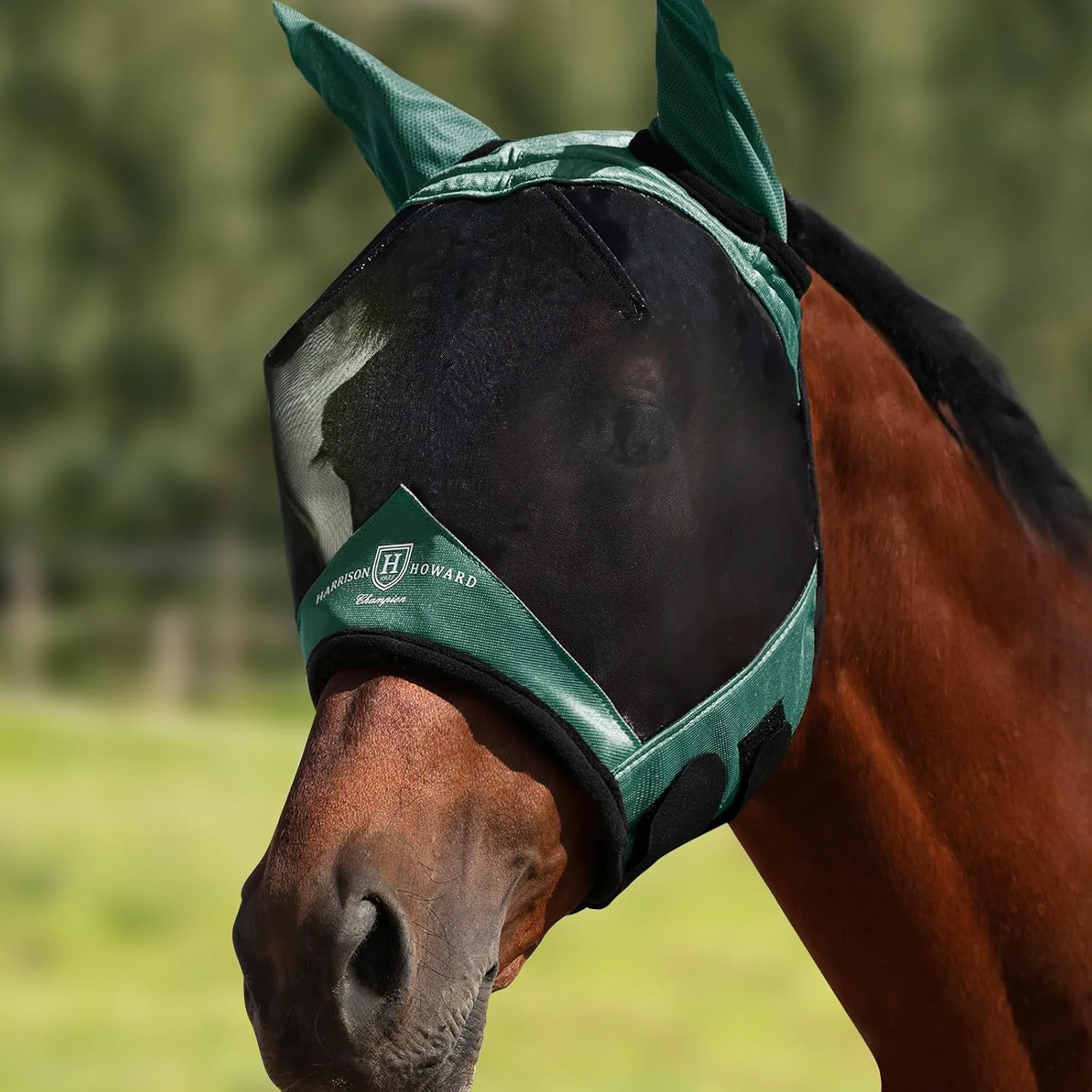 World-Class Harrison Howard Pro Luminous Horse Half Face Fly Mask Large Eye Space with Ears UV Protection for Horse Hunter Green M Healthy