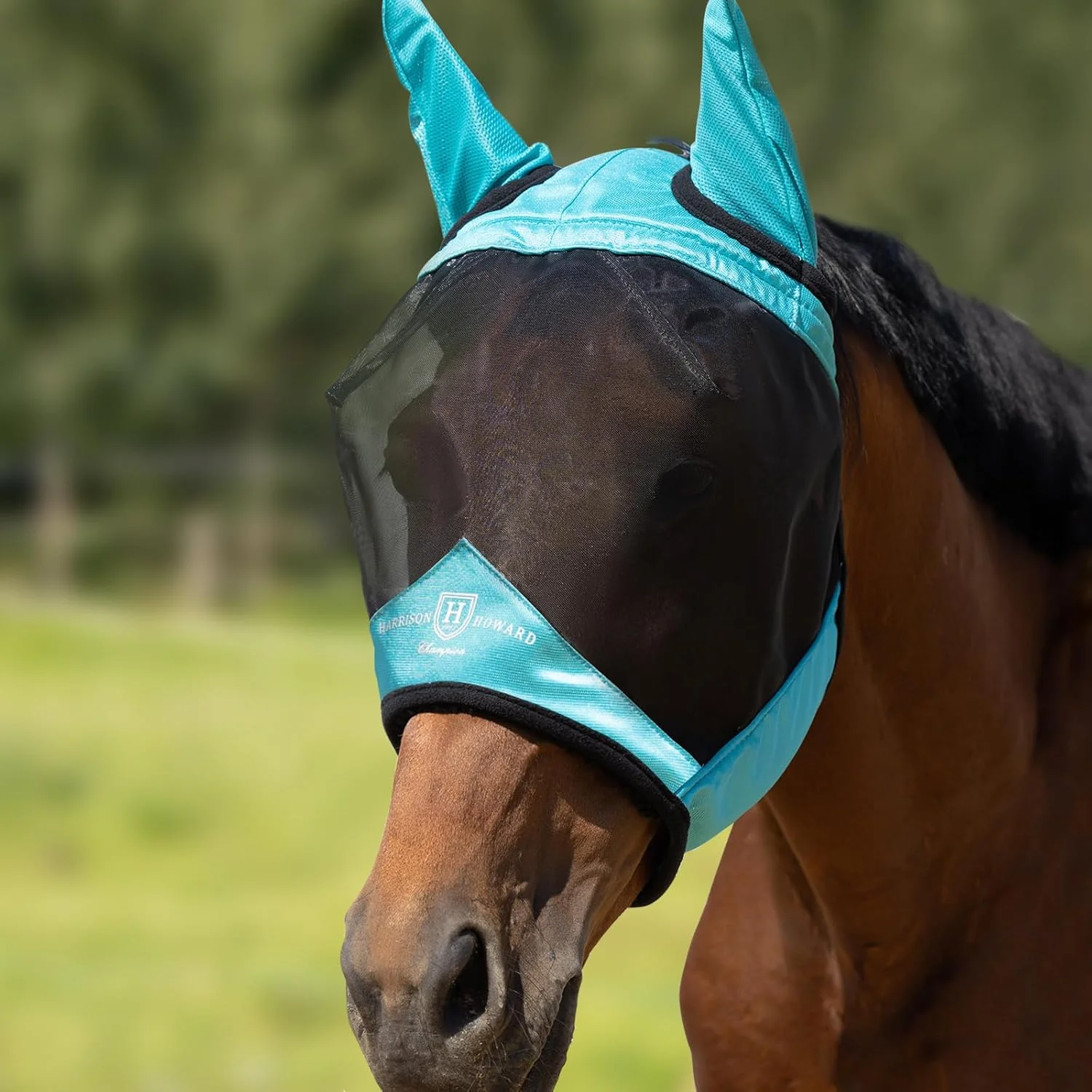 Artisan Harrison Howard Pro Luminous Horse Half Face Fly Mask Large Eye Space with Ears UV Protection for Horse Teal L Dependable