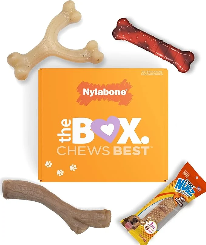 Flexible Nylabone Dog Gift Box Includes 3 Strong Chew Toys and 1 Natural Treat Gifts for Dogs Small - Up to 25 lbs 4 PackAbout This Innovative