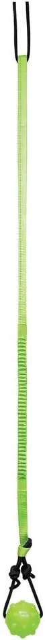 Advanced Jolly Pets Tree Tugger For Dog GreenAbout This Carefully Designed