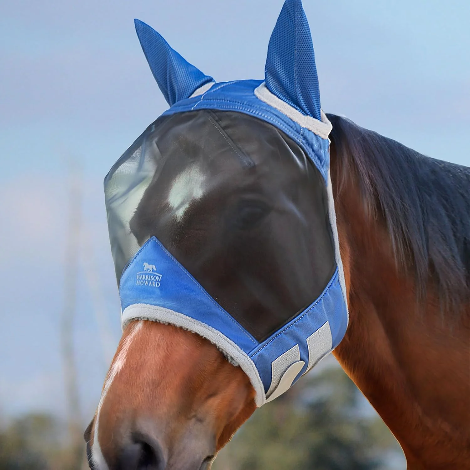 Refined Harrison Howard CareMaster Pro Luminous Fine Mesh UV-Proof Fleece Padding Fly Mask Half Face Aquamarine XL Extra Full Consistent