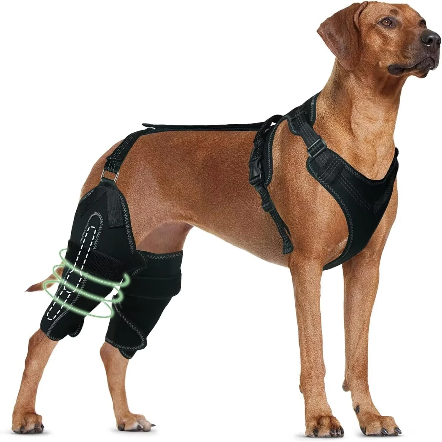 User-Friendly TIPOOP Dog Knee Brace for ACL CCL Injuries - Size L Rear Leg Support Functional