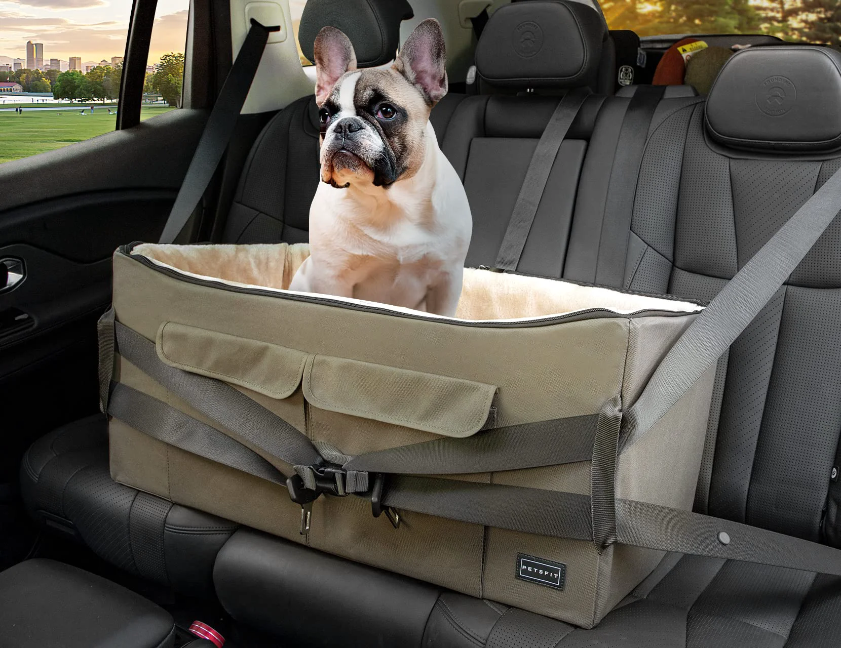 Contemporary Petsfit Dog Booster Seat for 2 Small Dogs or 55 lb Medium Dog – Car Seat with Pockets Brown Reusable