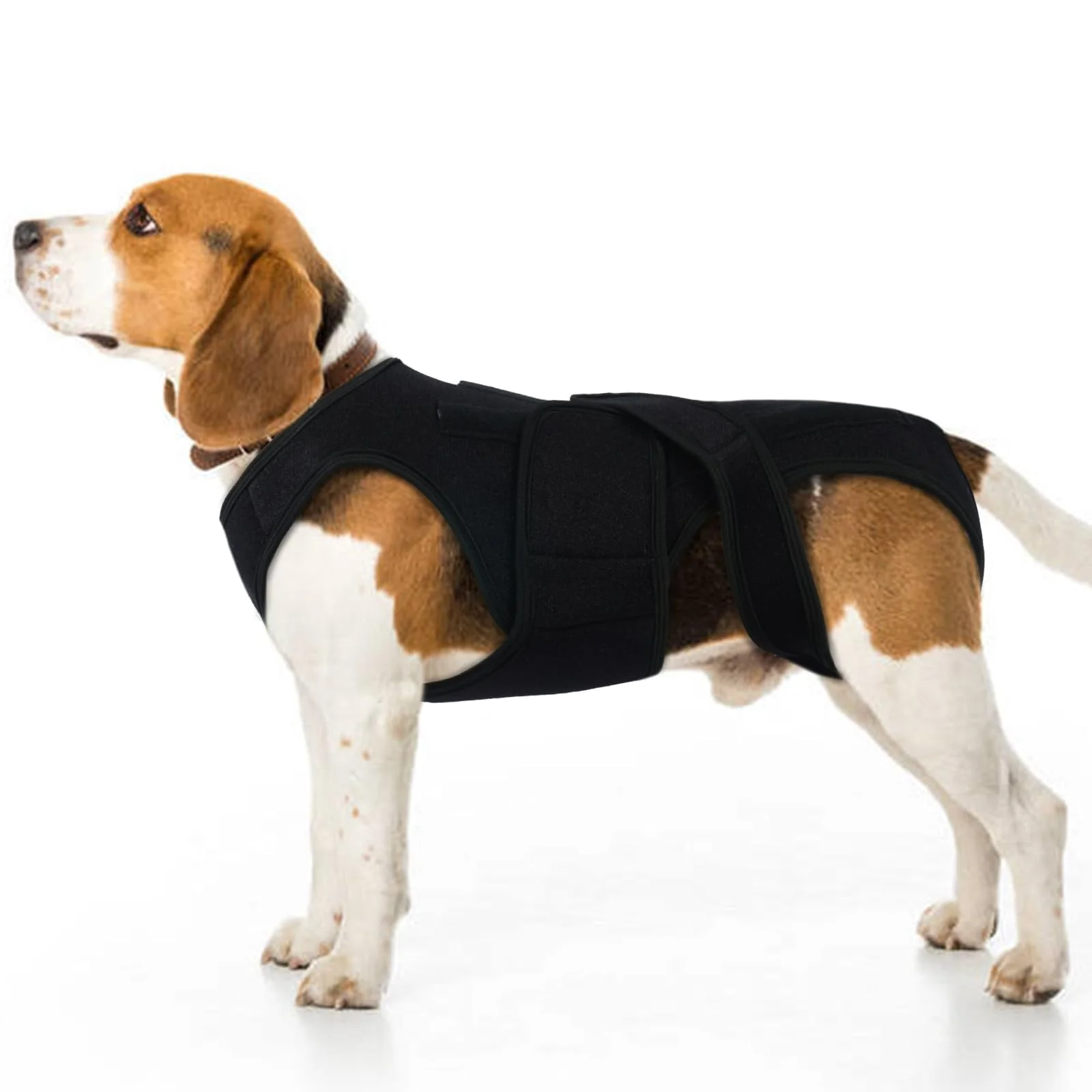 Casual LeleTail Dog Back Brace for Small Dogs – Adjustable Spinal Stability with 5 Removable Rods Easy-to-Use