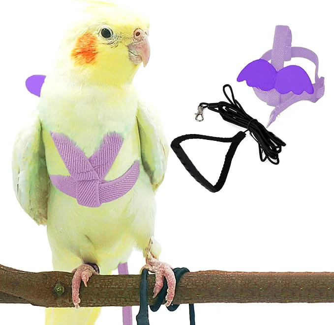 Artisan Dnoifne Pet Parrot Bird Harness and Leash Adjustable Training Design Anti-Bite Relaxed