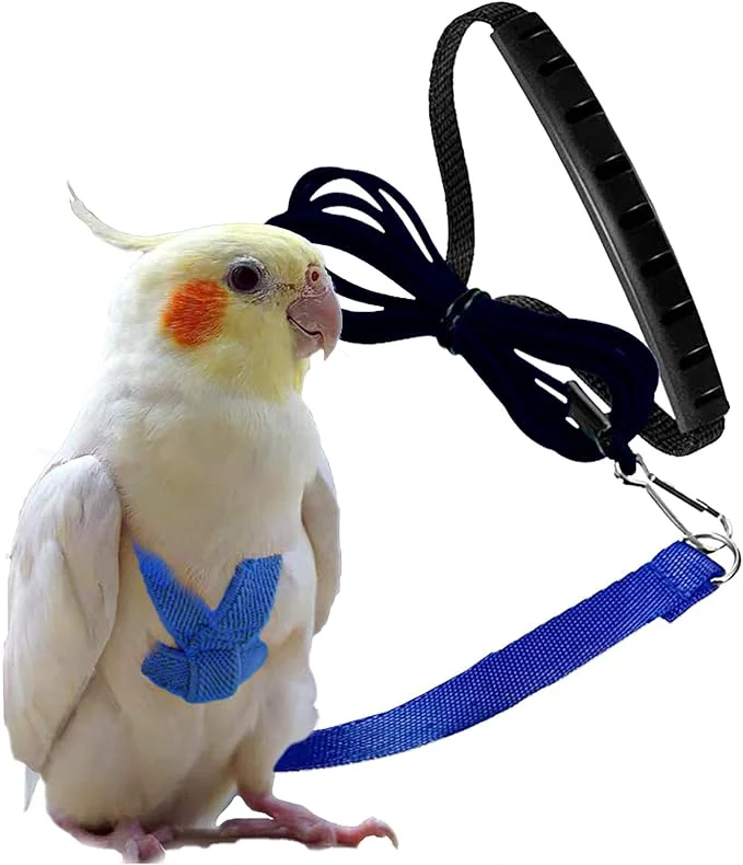 Next-Generation Dnoifne Parrot Harness and Leash Adjustable Training Design Anti-Bite Exclusive