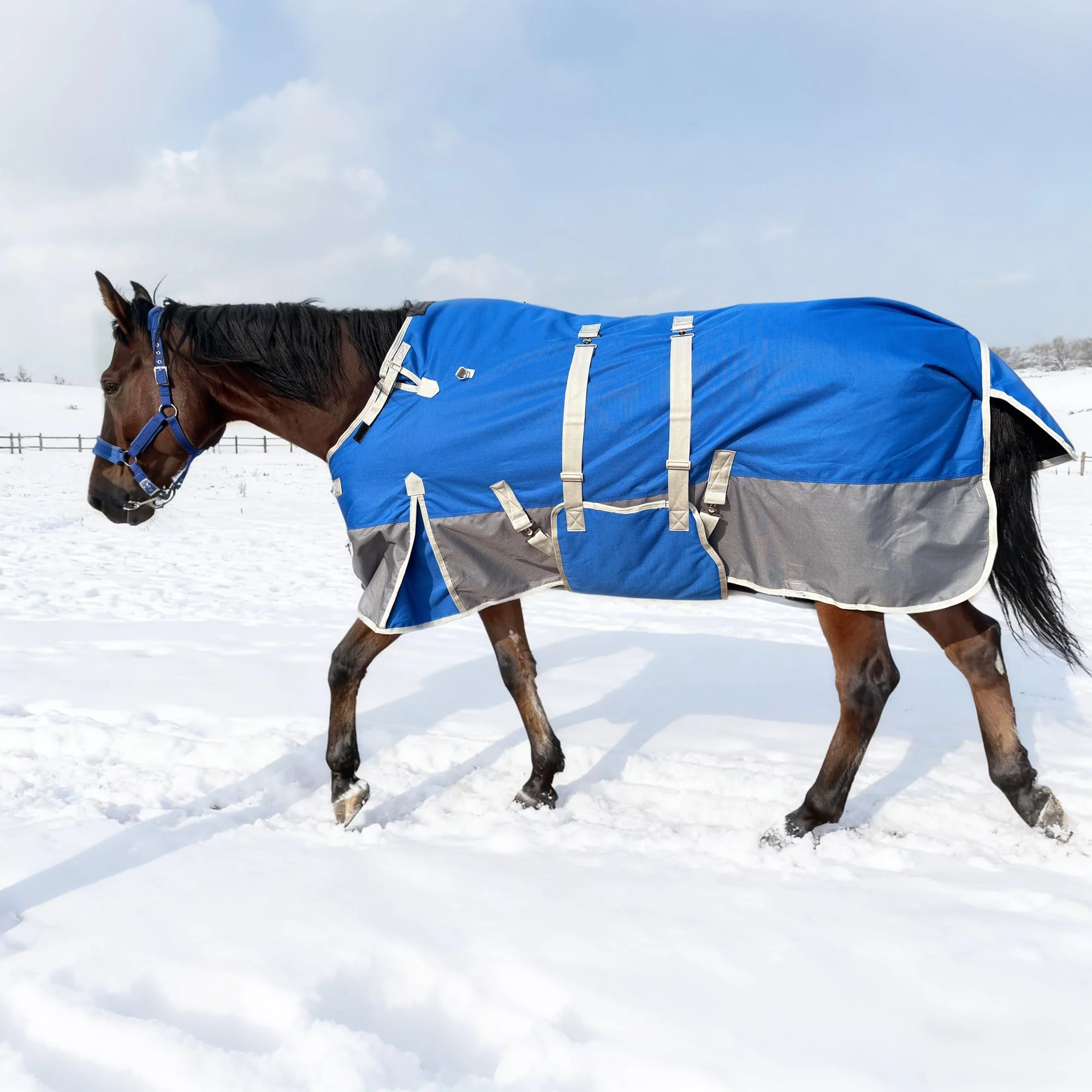 Fine SCGFPOE Winter Horse Blanket with Belly Band – Waterproof 1200D Turnout 260g Fill 72 Selected