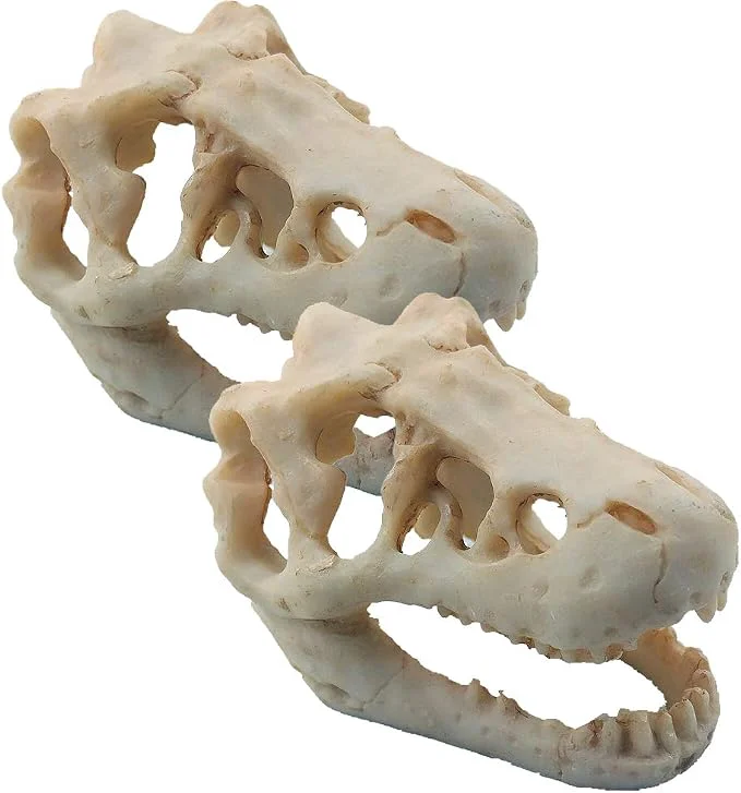 Consistent 2 Pack Dinosaur Aquarium Decorations Skull Aquarium Ornament Mini Dinosaur Mold Pure