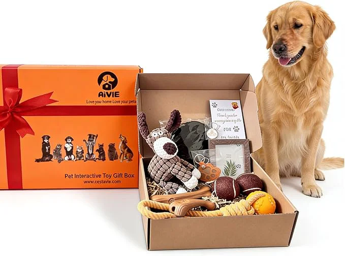 User-Friendly AiVIE Dog Gift Basket World-Class