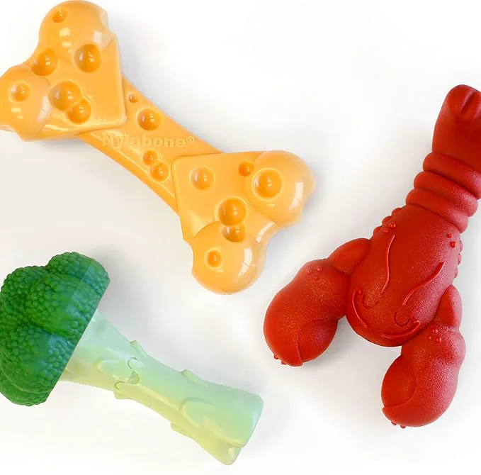 Versatile Nylabone Power Chew Toy Bundle Cute Dog Toys Specialty