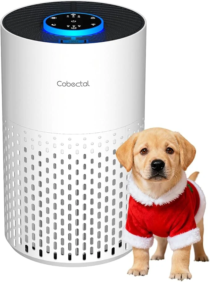 Eco-Friendly Air Purifiers for Bedroom Home Cobectal Air Cleaner Crafted