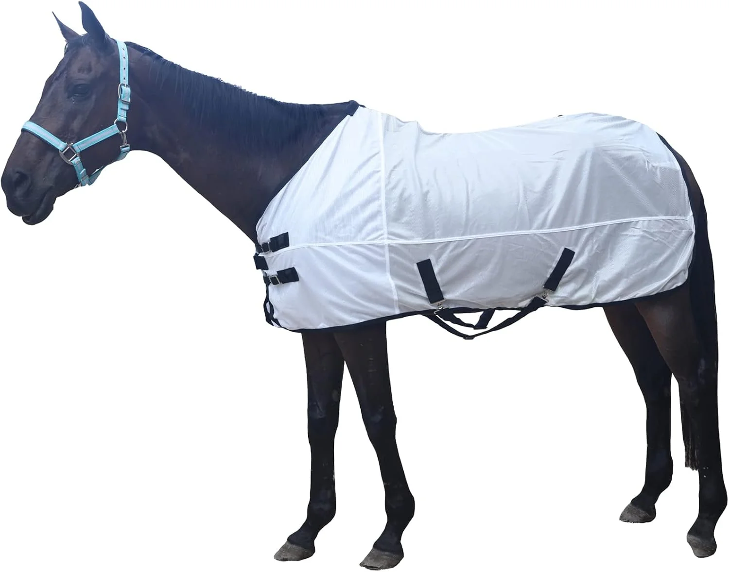 Easy-to-Use Comfy Mesh Horse Fly Sheet Equine Summer Sheets Stand Neck White 63 Soft
