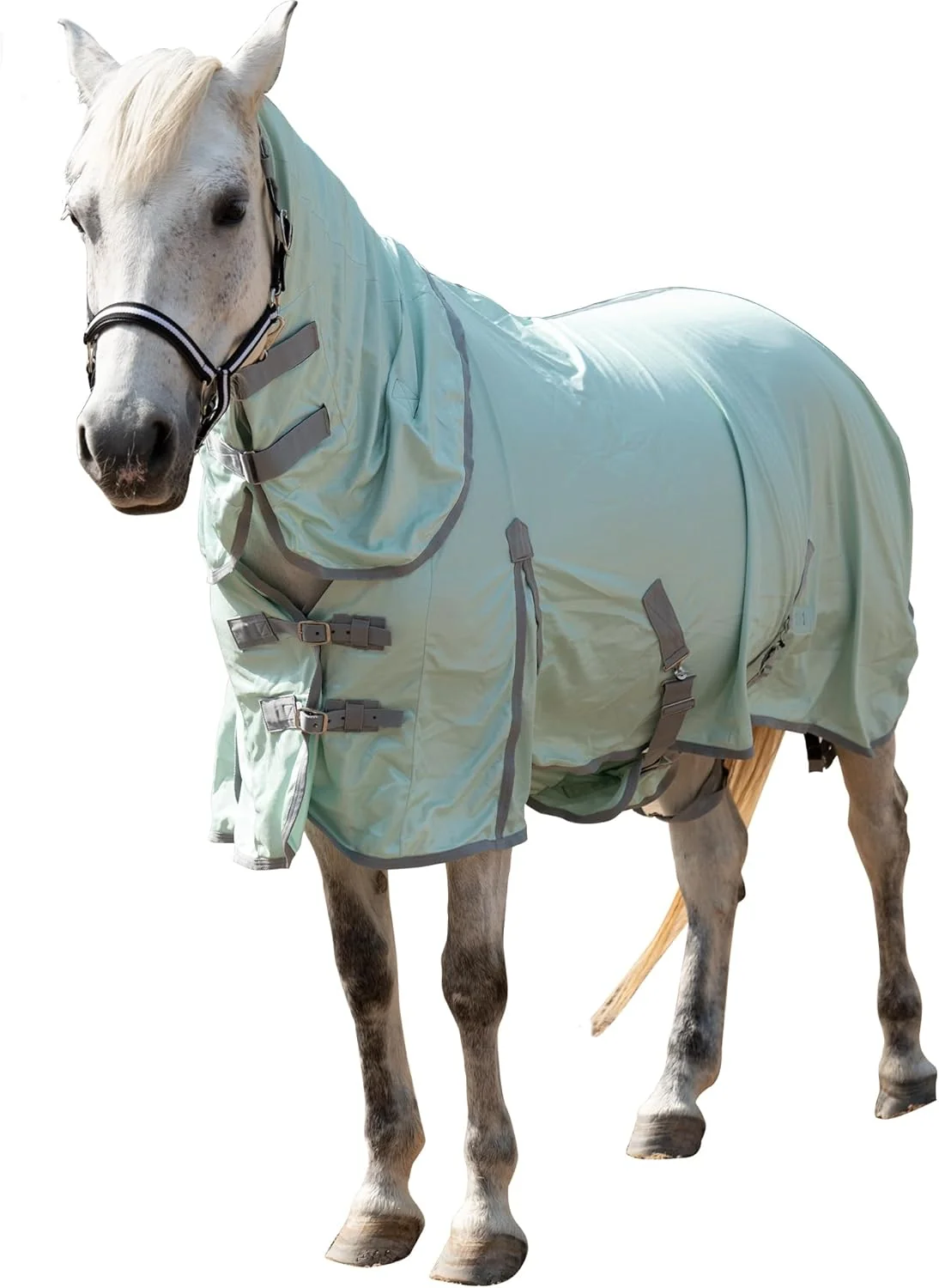 Unique Horse Fly Sheet with Detachable Neck Cover Belly Wrap Adjustable Fly Sheet for Horses Ventilated Airflow Mesh Equine Cooling Summer Flysheet Green 78 Exceptional