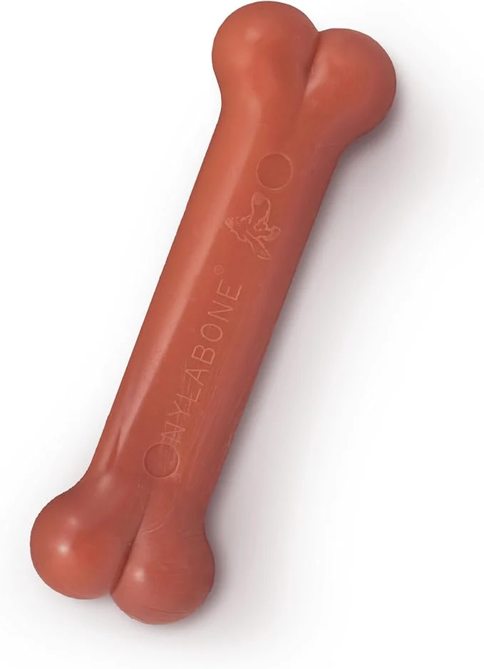 Responsible Nylabone Bone Power Chew Toy Crafted