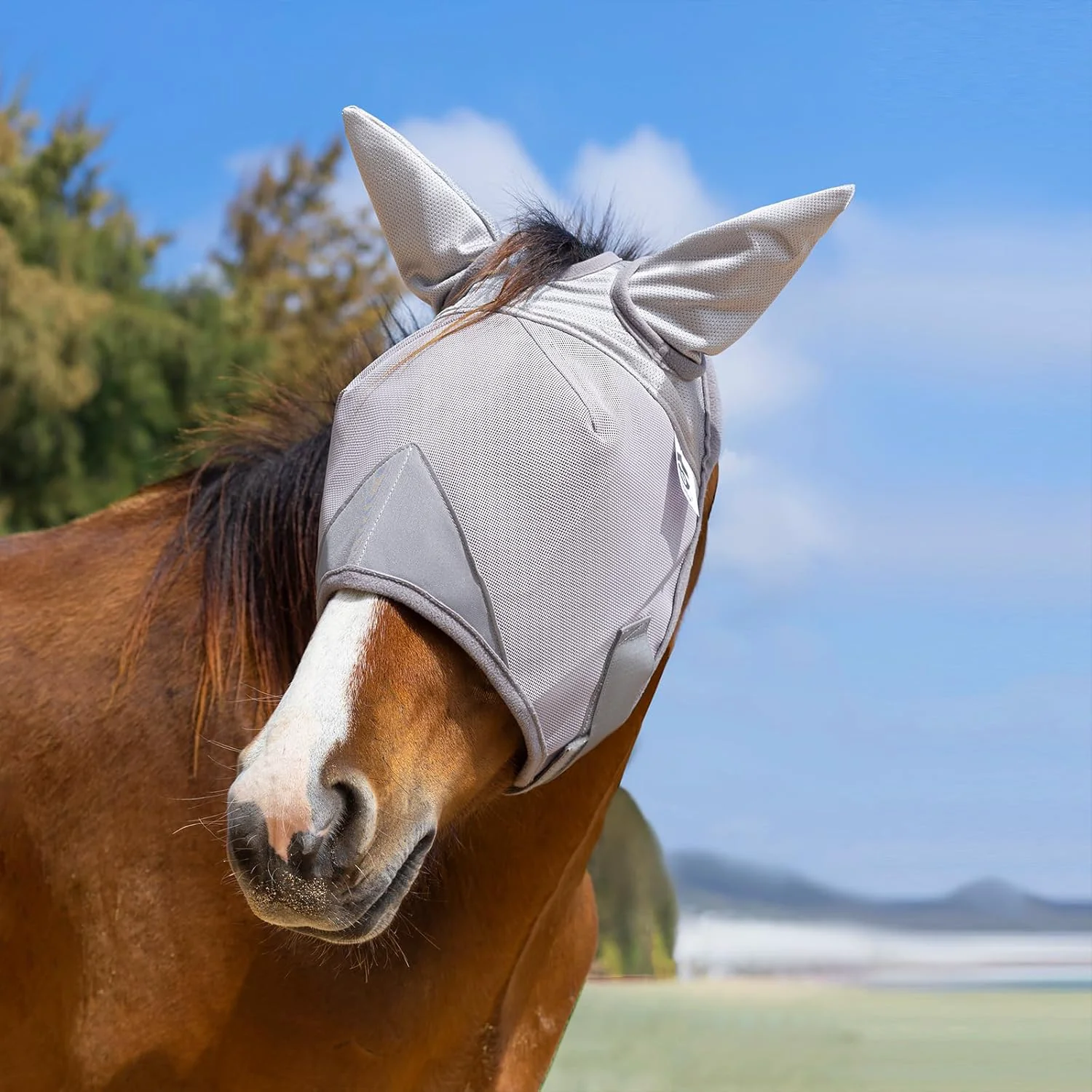 Flexible Horse Fly Mask Adjustable Fly Masks for Horses with Ears UV Protection from Insect Pests Comfort Mesh Without Nose Average Size Horses Accessories Medium Stylish