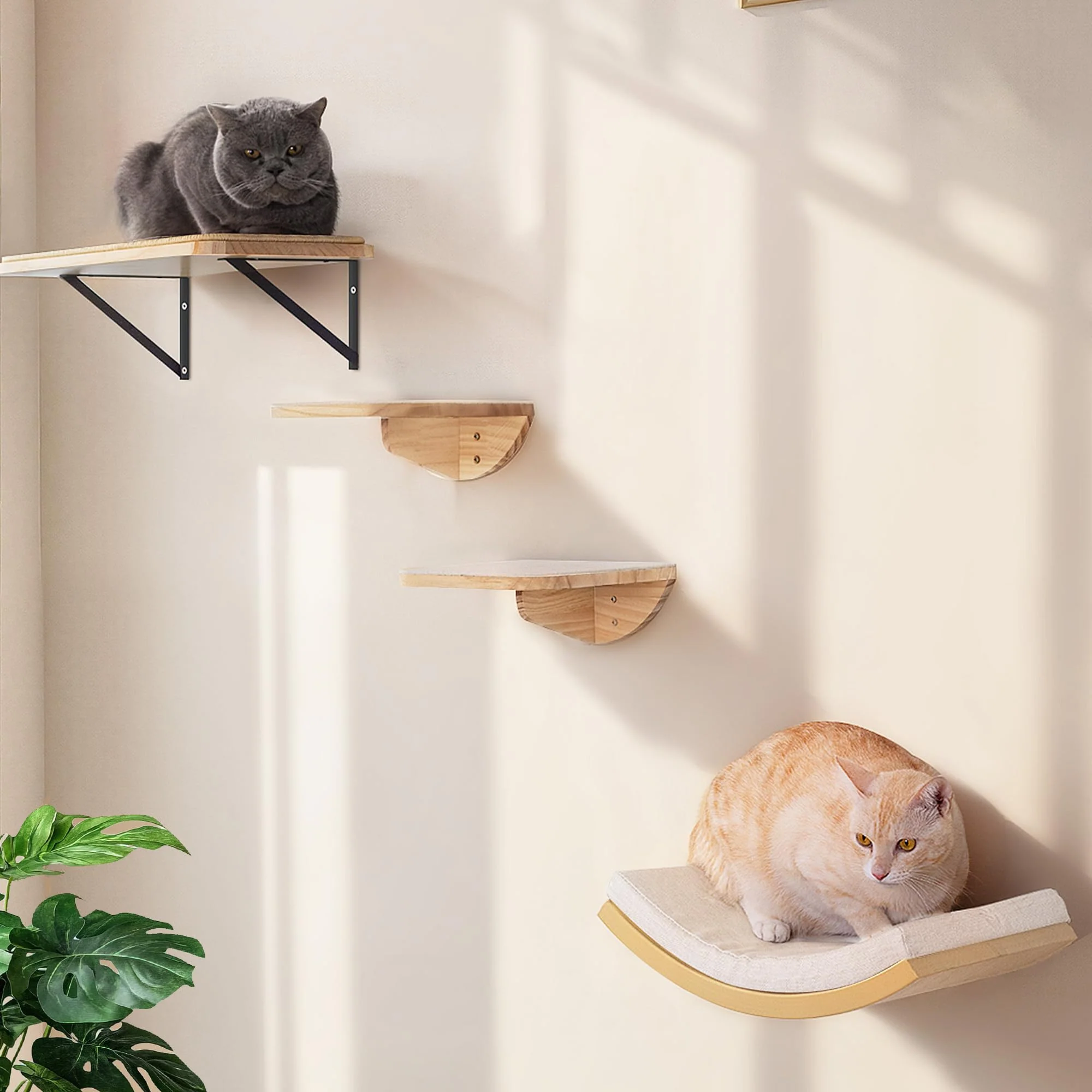 Authentic PEL UOMOZ Cat Wall Shelf Window Perch Combo — 4-Piece Floating Cat Climbing System Responsible