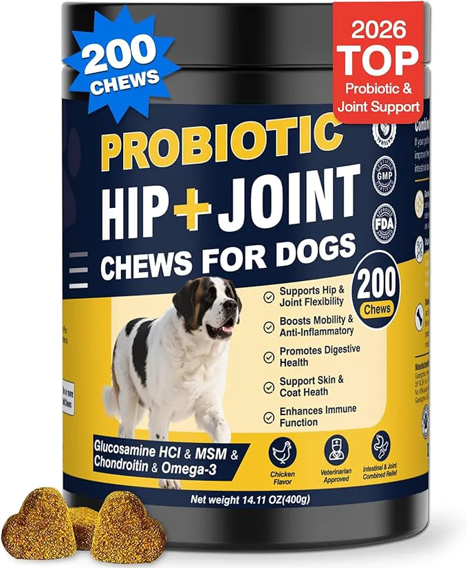 Excellent Hip and Joint Supplement for Dogs Dog Probiotics Glucosamine Chondroitin MSM Chew for Dog Arthritis Pain Relief Extend Joint Care Probiotic for Digestive Gut Health for Large Small Senior Breed DogsAbout ThisOverview Official
