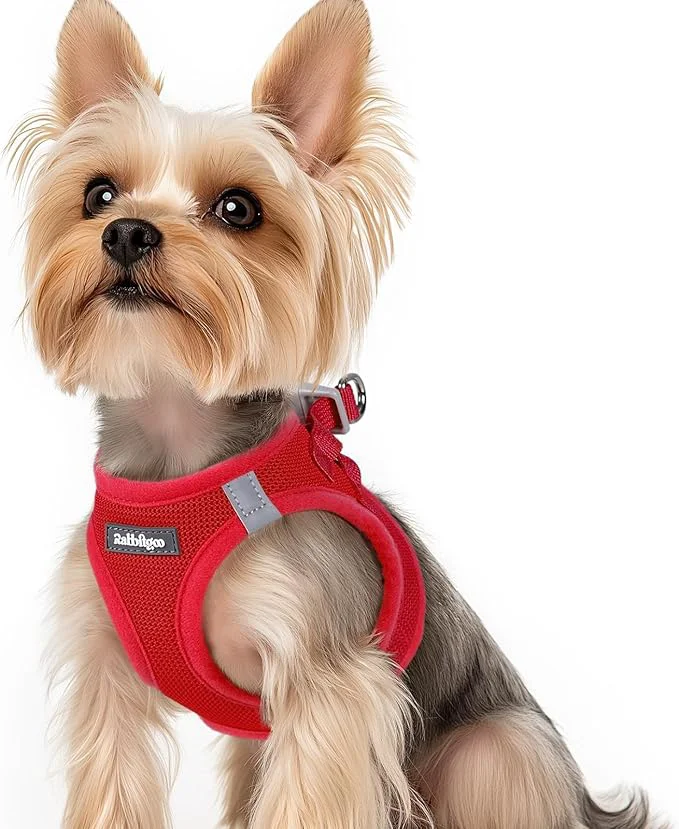 Advanced rabbitgoo Small Dog Harness Step-in Soft Mesh Puppy Vest with Safety Buckle Breathable Reflective Pet Harness for Small Sized Dogs Red XSAbout ThisOverview Easy-to-Use