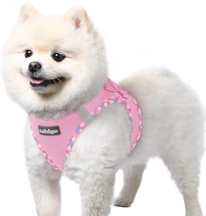Sophisticated rabbitgoo Small Dog Harness Step-in Soft Mesh Puppy Vest with Safety Buckle Breathable Reflective Pet Harness for Small Sized Dogs Pink Plaid Trim SAbout ThisOverview Advanced