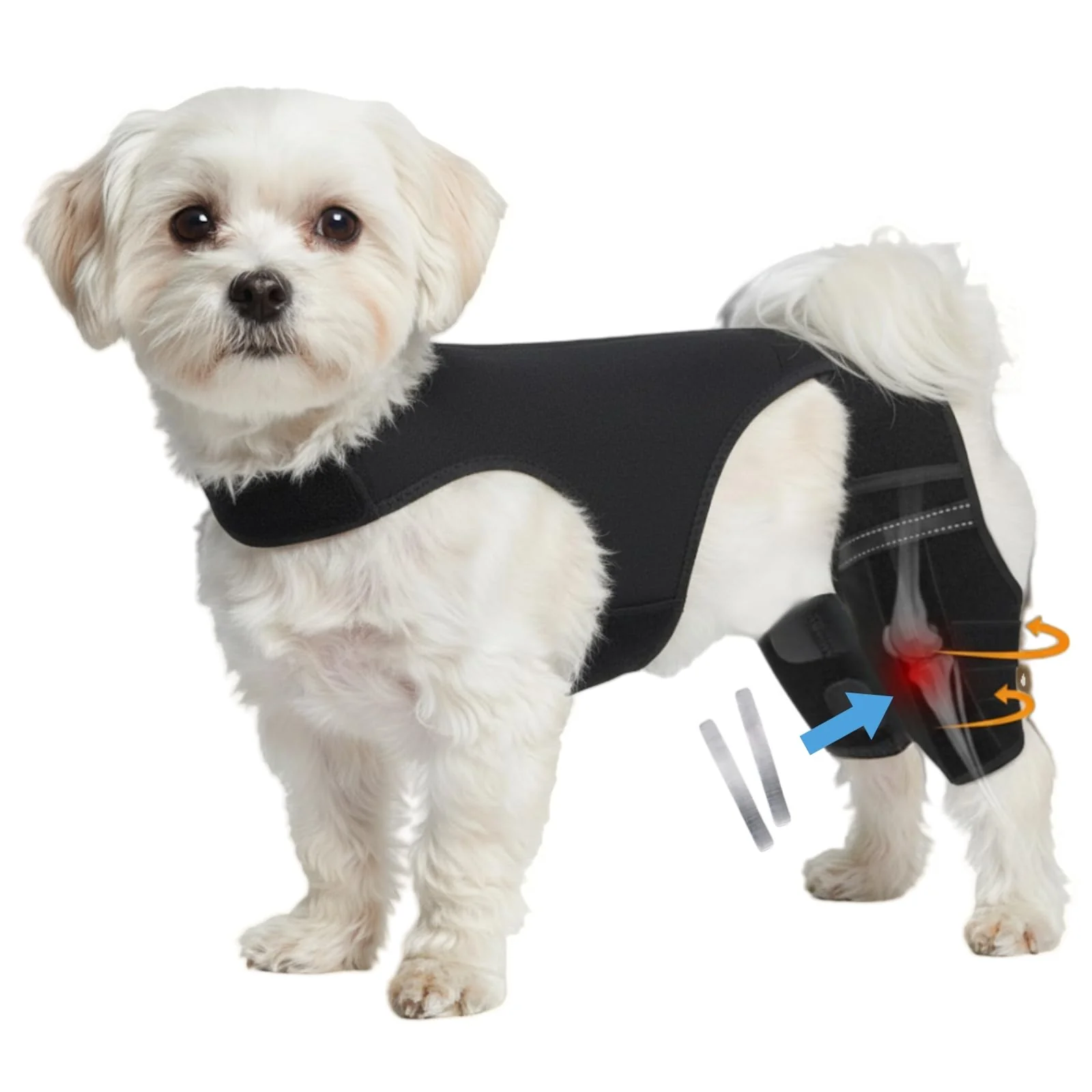 Traditional NIUBNKJ S Double Dog Knee Brace – Dual Hind-Leg Support for ACL CCL Hip Dysplasia Post-Surgery Recovery Top-Quality