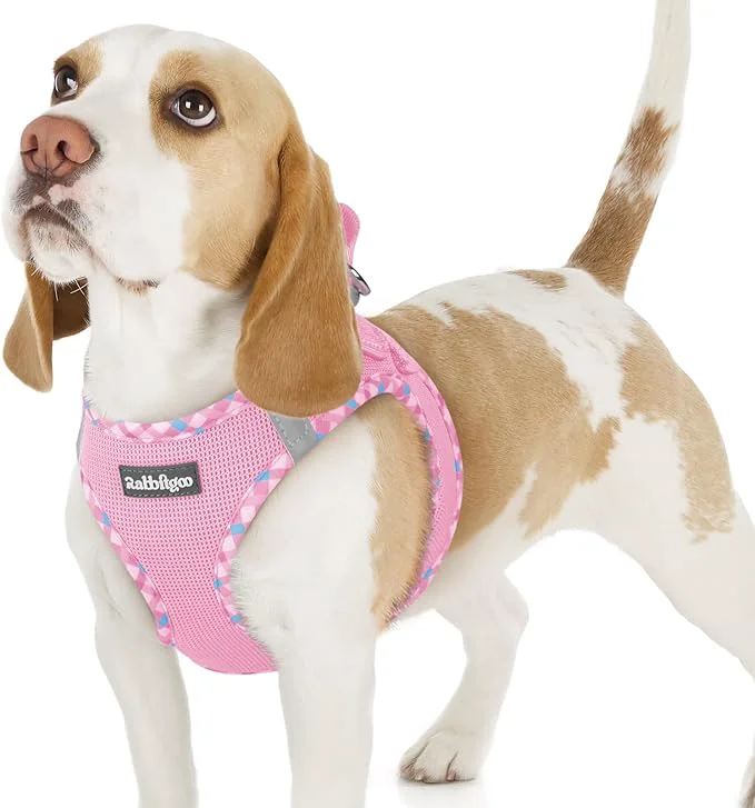 Selected rabbitgoo Small Dog Harness Step-in Soft Mesh Puppy Vest with Safety Buckle Breathable Reflective Pet Harness for Small Sized Dogs Pink Plaid Trim MAbout ThisOverview High-Quality