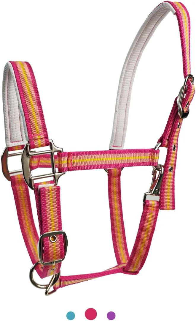 Modern JWODVNTH Adjustable Horse Halter with PP Webbing Durable Horse Halters with Zinc Alloy Hardware Horses Training Equipment to Prevent Friction for Training Competitions ＆ Daily Luxury