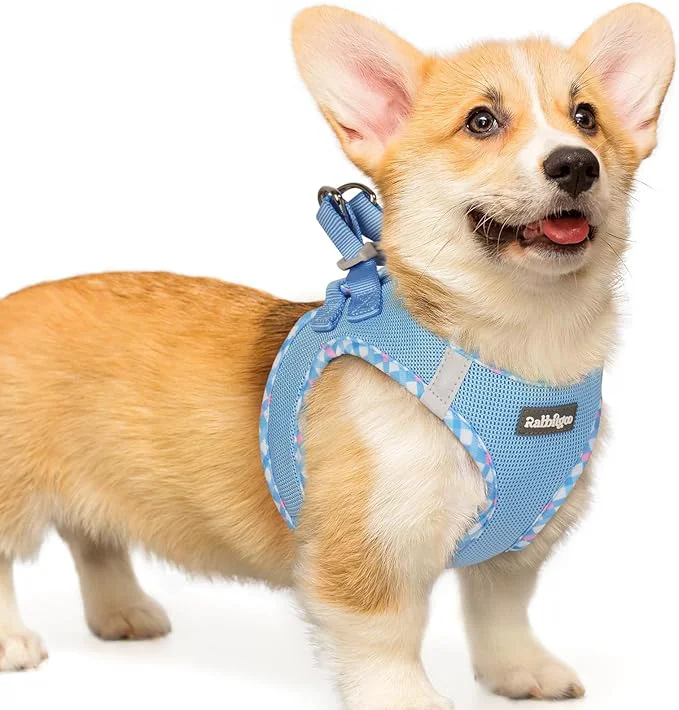 Professional rabbitgoo Small Dog Harness Step-in Soft Mesh Puppy Vest with Safety Buckle Breathable Reflective Pet Harness for Small Medium Dogs Blue Plaid Trim LAbout ThisOverview
