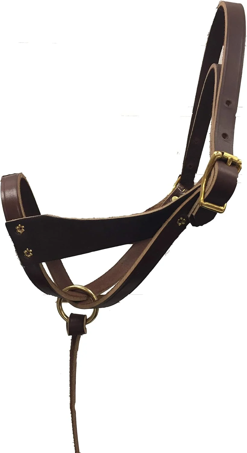Premium Material Leather Figure 8 Foal Halter Newborn Foal Mini Pony Halter Brown with Removable Grab Strap and Two Size Crowns Solid