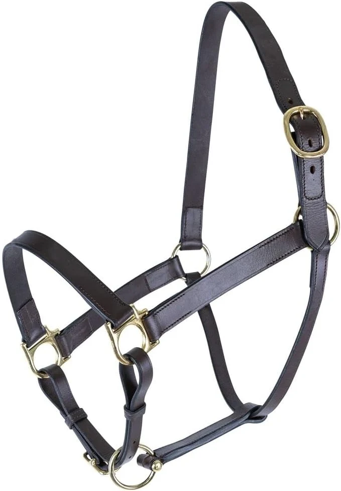 Authentic Schneiders Premier Lancaster Fixed Throat Leather Halter for Horses 1 Single-Ply Leather Lightweight Everyday Design Brass Hardware Safe