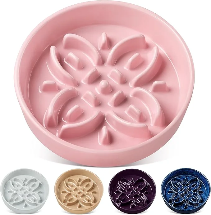 Unique vancasso Ceramic Slow Feeder Dog Bowls Puzzle Dog Food Bowls with Floral Maze Anti -Slip Pet Food Dish for Large Breed 3 Cups PinkAbout ThisOverview Superior