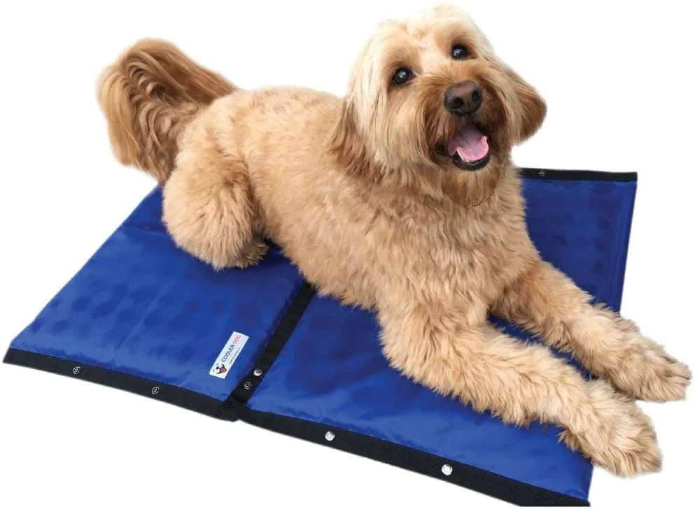 Exclusive CoolerDog Hydro Cooling Mat 23x18 2-Pack – Dog Cooling Pad Verified
