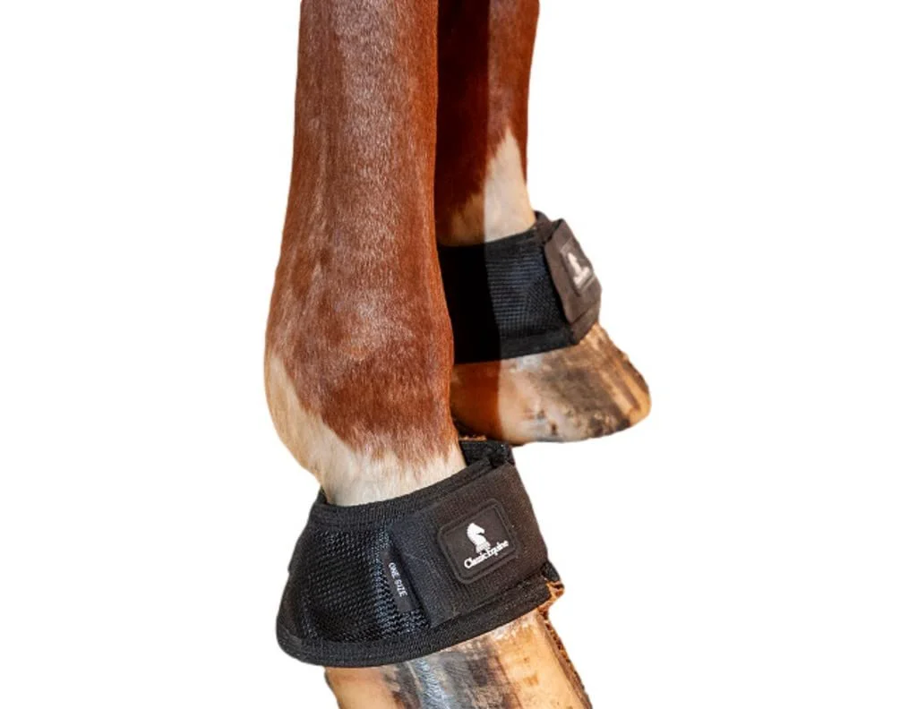 Effective Classic Equine MagNTX Bell Boots – Magnetic Hoof Support EM22BB Contemporary