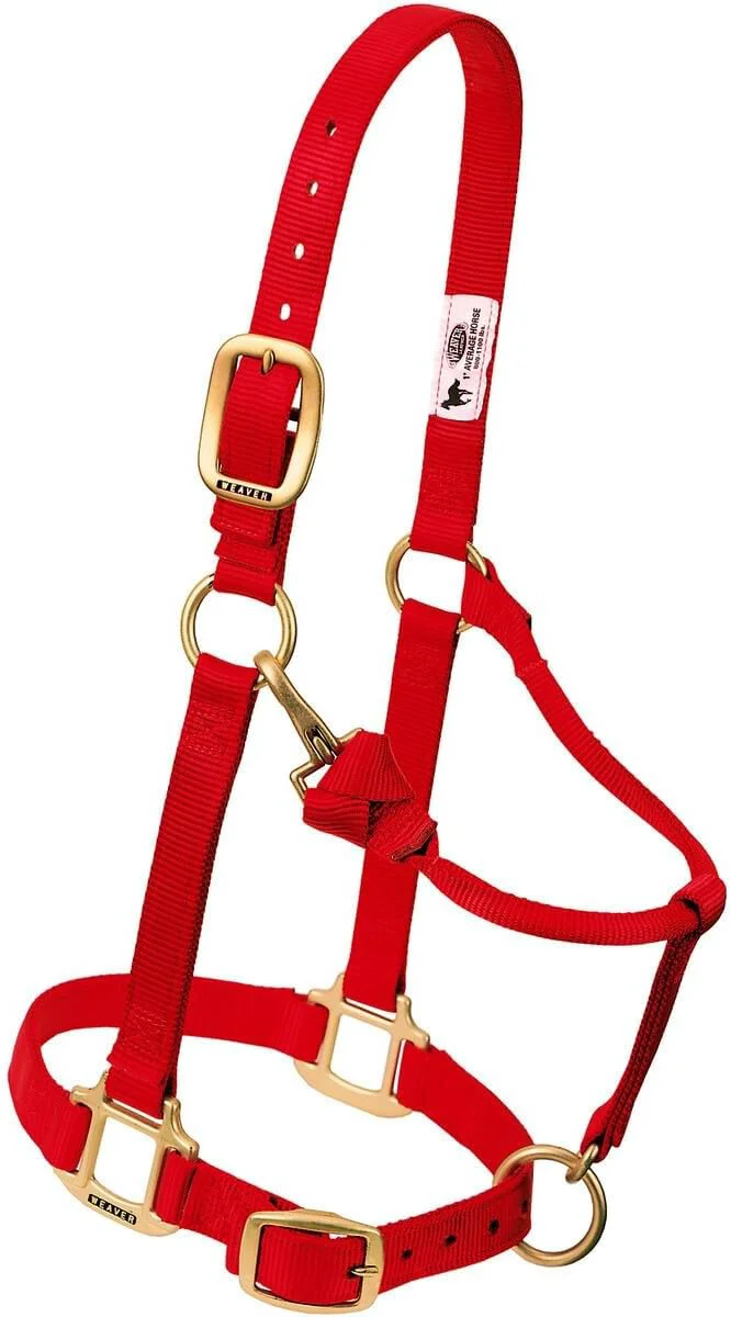 Top-Quality Weaver Leather Adjustable Nylon Horse Halter Minimalist
